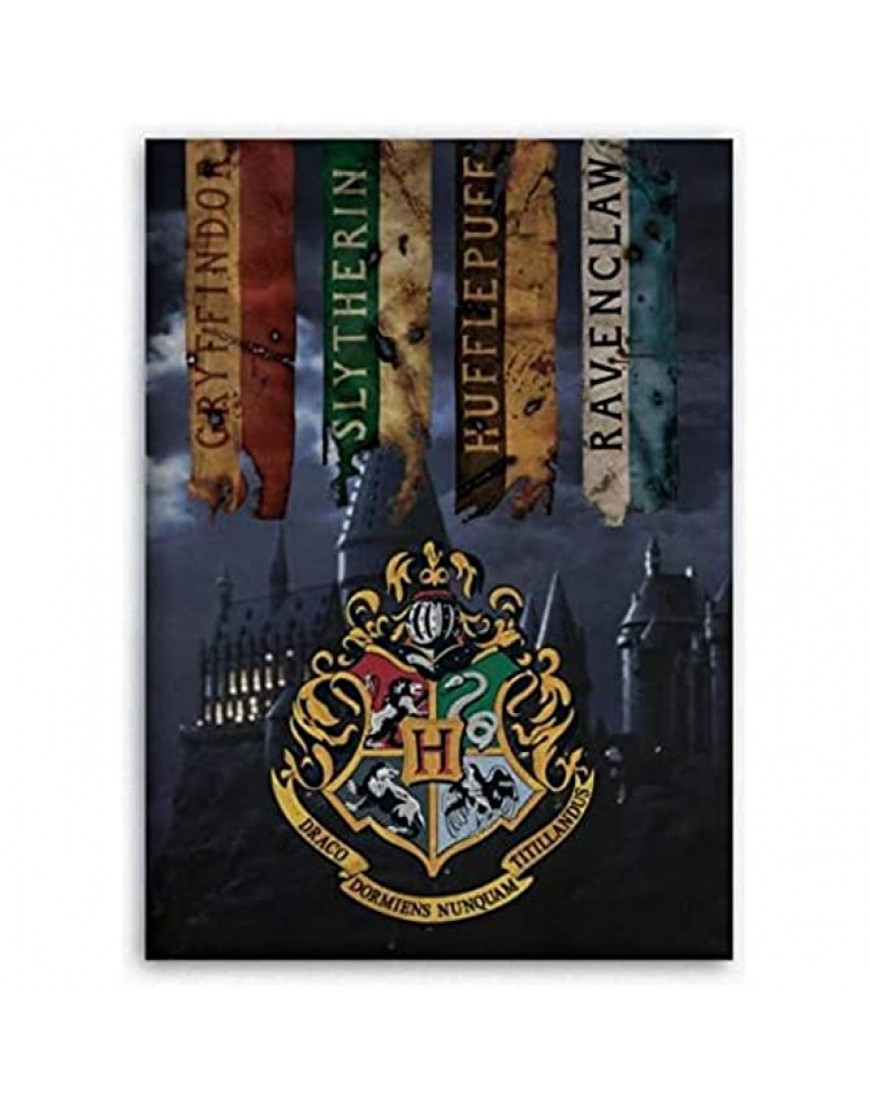 W.B Plaid Polaire Harry Potter L'Ecole des Sorciers Multicolore 100x140cm 100% Polyester - B8H9EBQGV