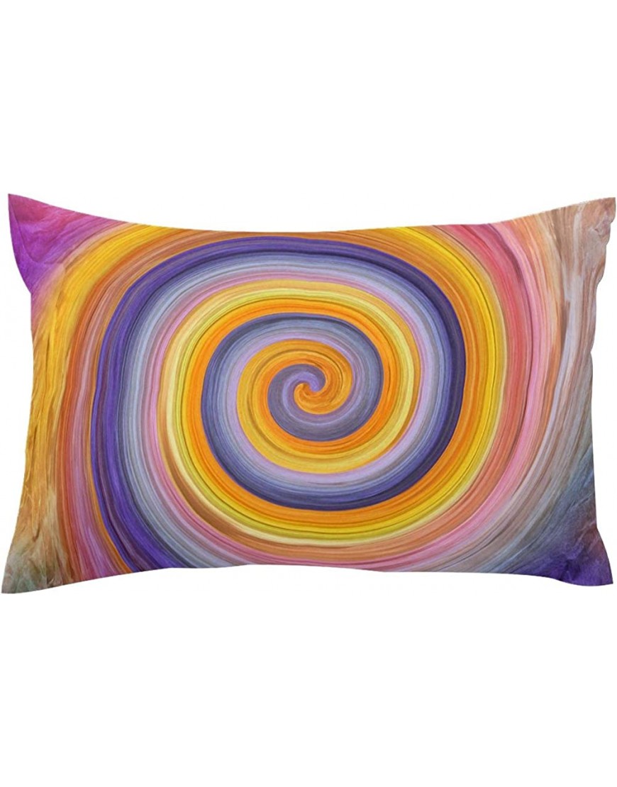 Abstract Retro Color Spiral Pattern Square Pillow Covers 16x24in Standard Size - B5Q28GRFM