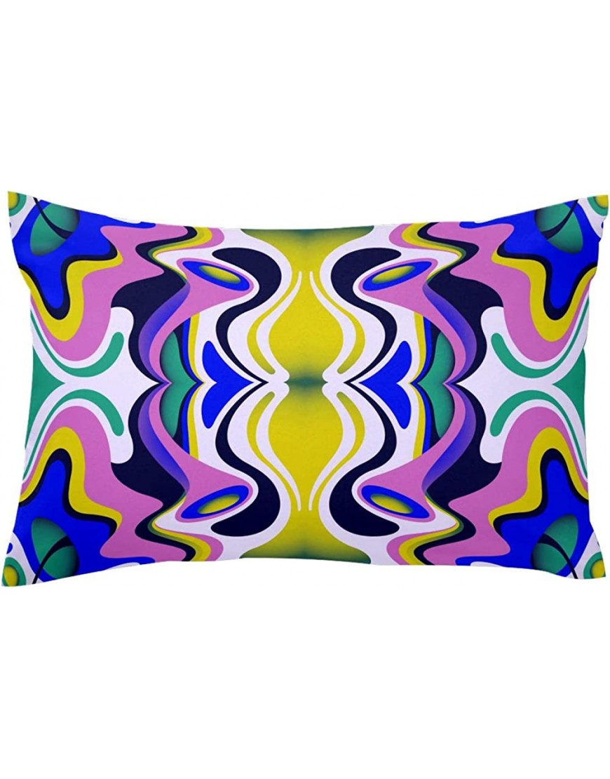 Colorl Abstract Modern Small Pillow Cases 20x30in Standard Size - BMK73JVLY