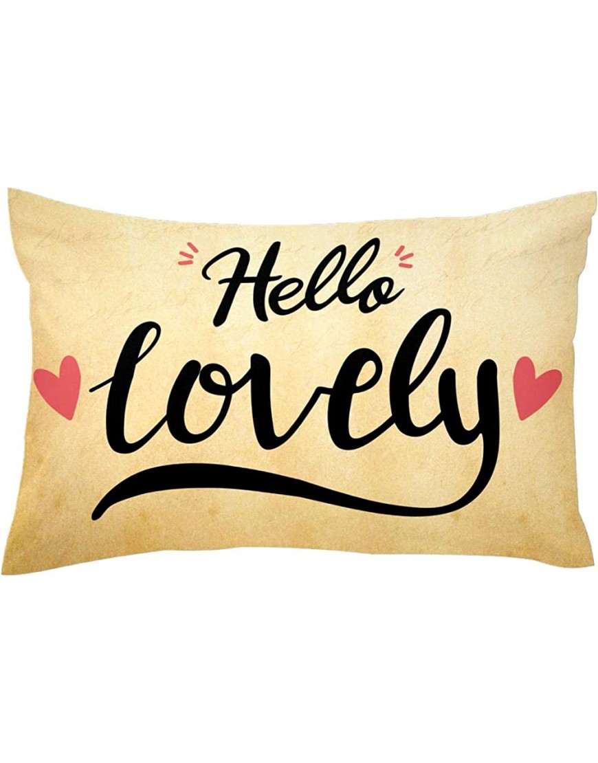 Valentine's Day Retro Couch Pillow Covers 16x24in Standard Size - BQ8BNPZCX