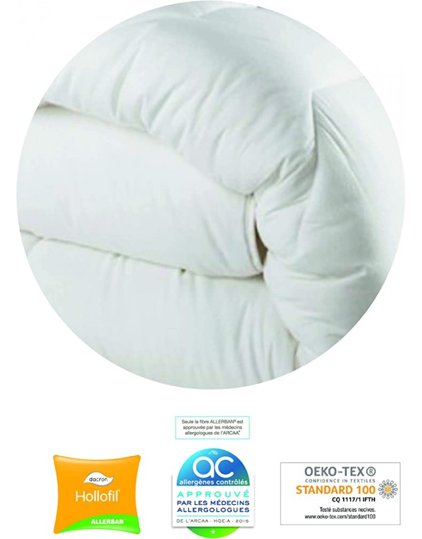 Blanrêve Couette Très Chaude Protection Totale anti acariens et antibactérienne 240x220 cm - B5187TPDZ